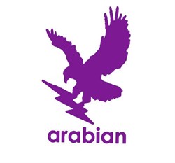 Arabian International Industries LLC